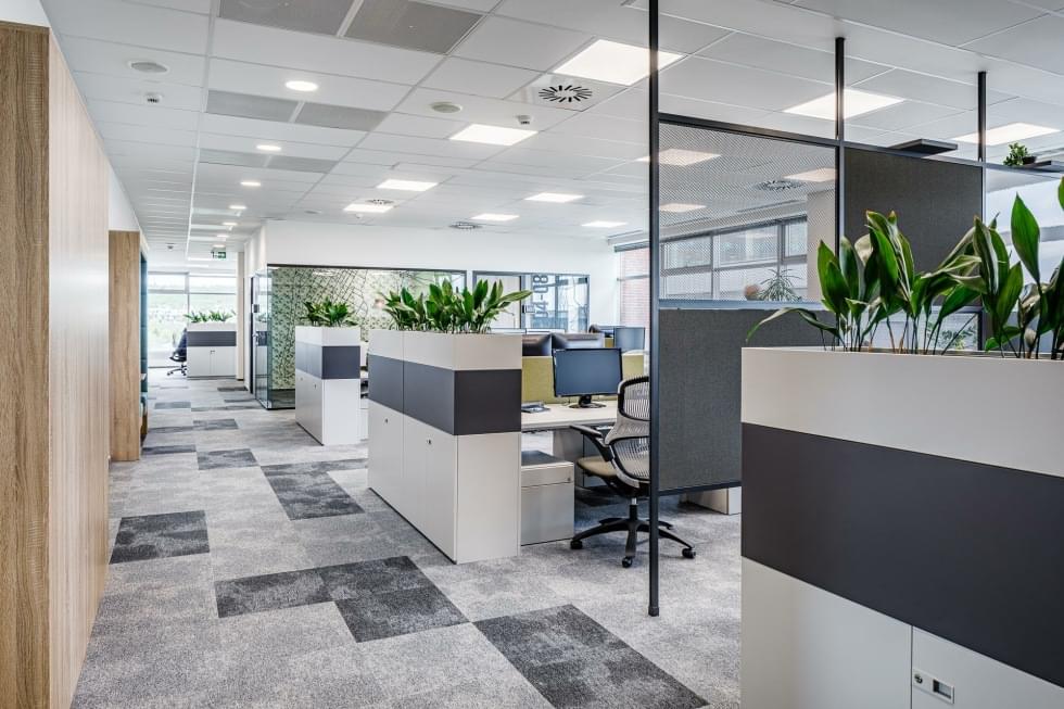 view into the openspace office with plants