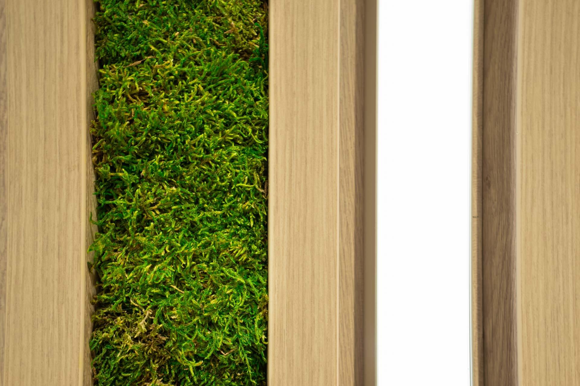 Detail na mechový obraz