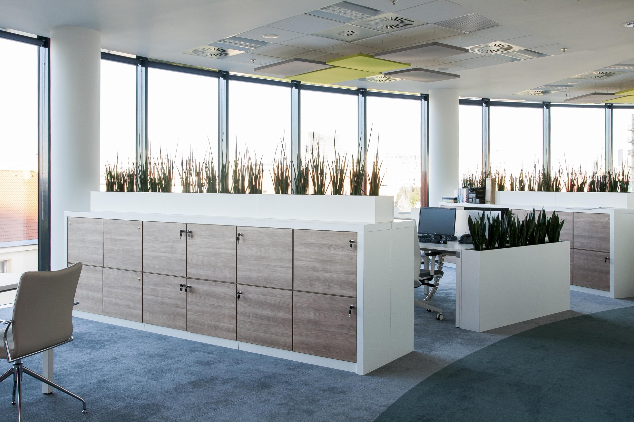 Open space kancelářský design s květináči oddělující jednotlivá pracoviště. Moderní interiér vhodně doplňují akustické panely na stropě. 