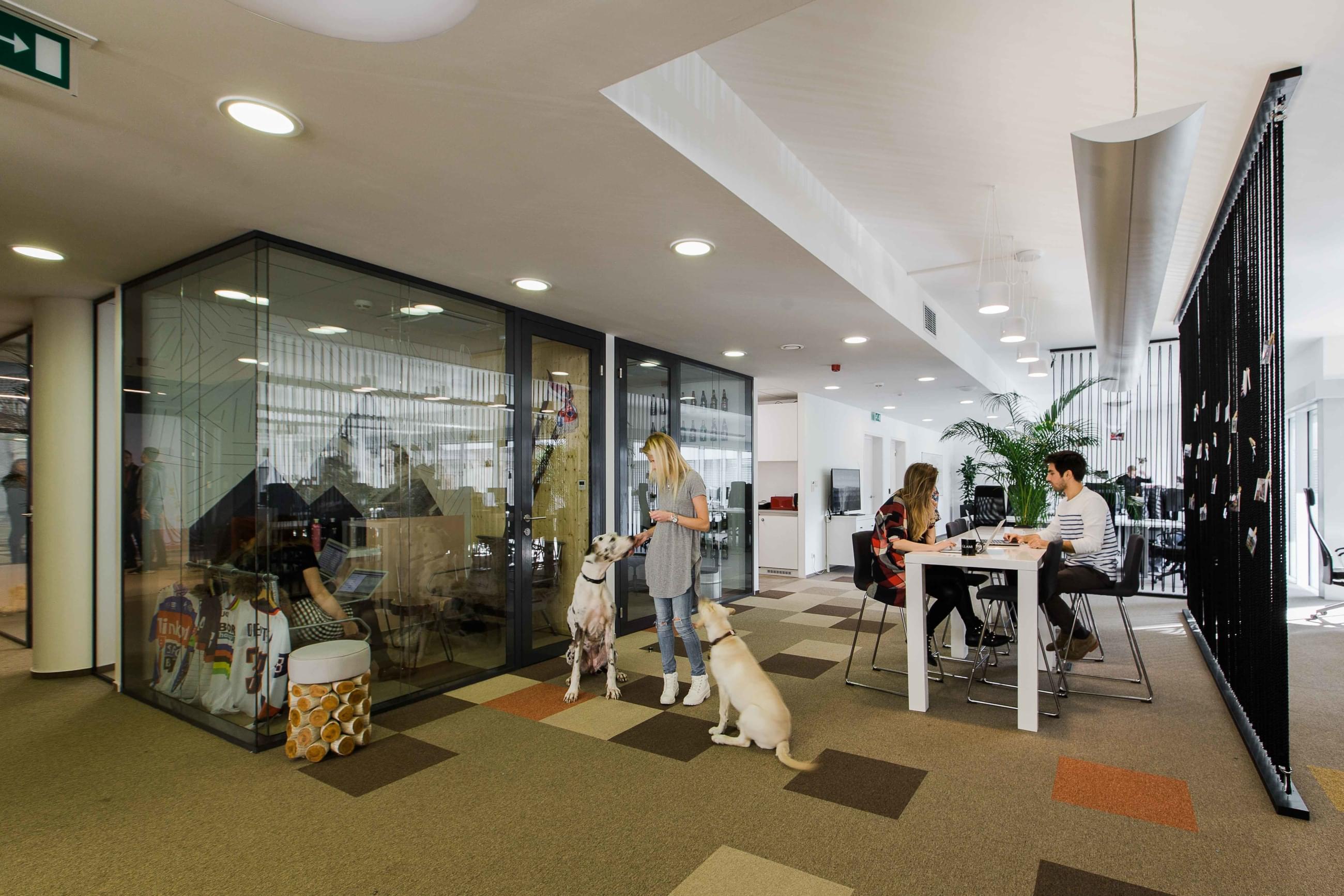 Common area with dog friendly environment of Miton offices