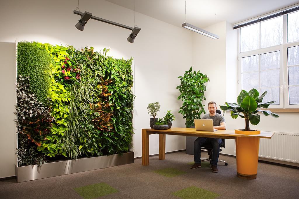 vertikální-zahrada-zeleň-v-kanceláři-zdravé-pracovní-prostředí-CAPEXUS-kanceláře-designové kanceláře-CAPEXUS-CAPEXUS-kanceláře