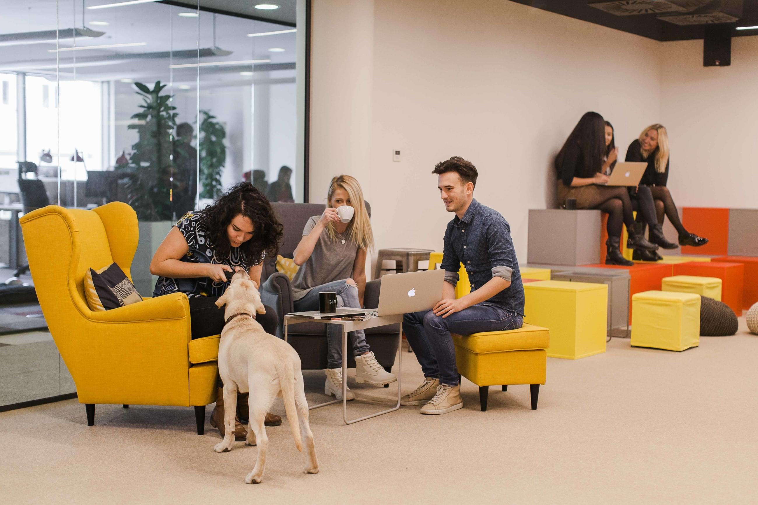 Relaxační místnost s komfortním interiérem a dog friendly atmosférou. 