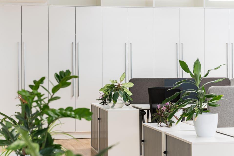 Open space office with flower decoration and built-in cabinets at GROHE