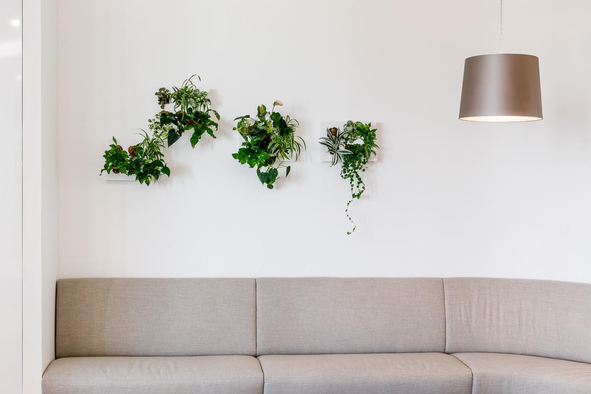 kanceláře-ČAP-rostliny-v-interiéru-soft-seating-sedačka-lampa-CAPEXUS-kanceláře