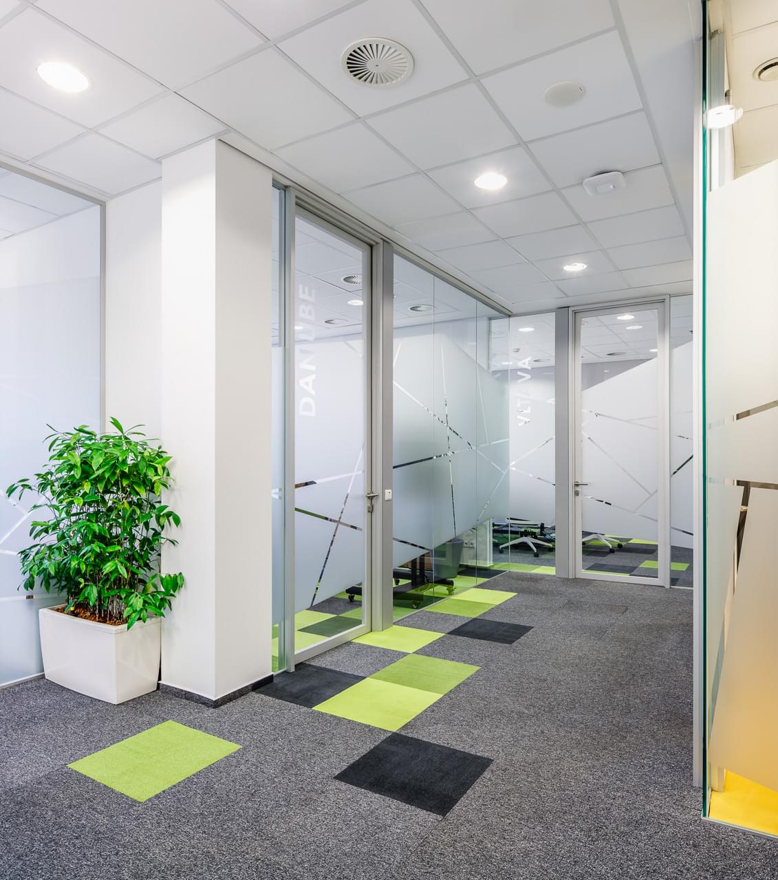 CBRE office space with acoustic elements