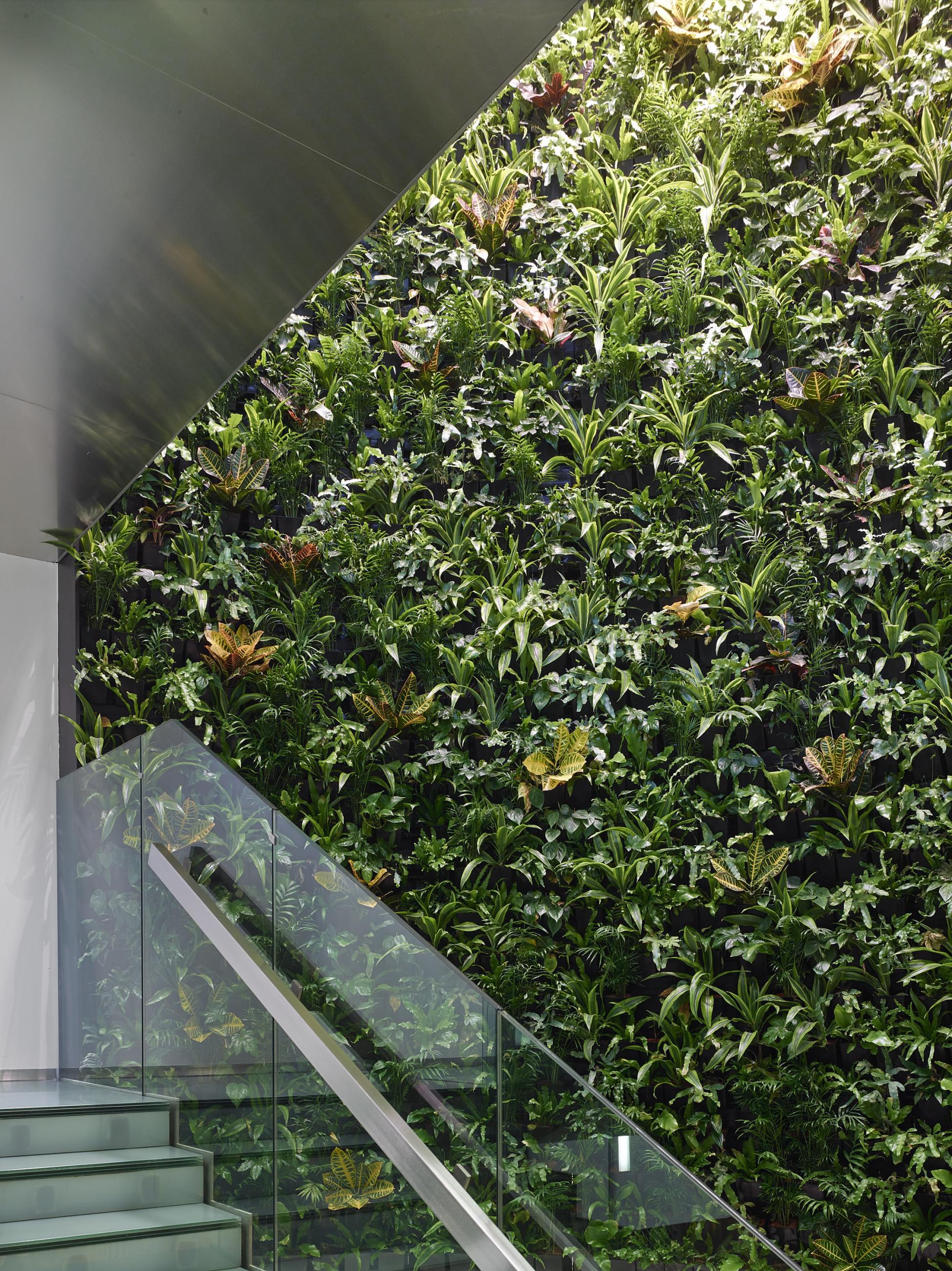 Vertikální živá zelené stěny u zábradlí