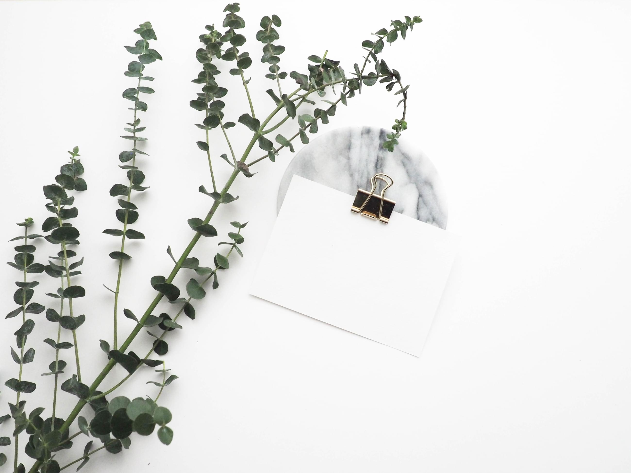 marble-minimalism-futurismus-květina-CAPEXUS-kanceláře-designové kanceláře-kanceláře CAPEXUS-Atelier Barda