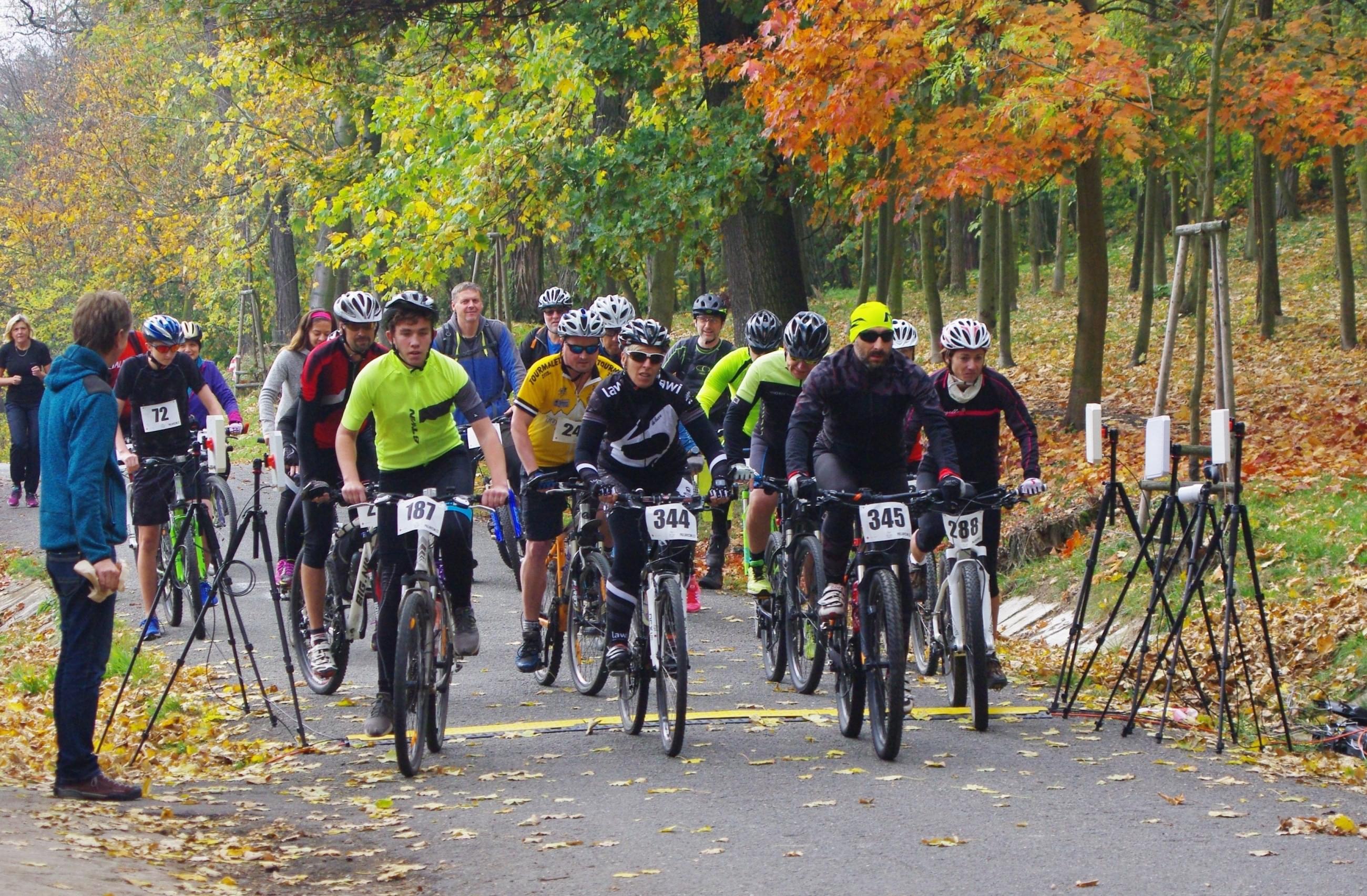 Projekt neziskové organizace Divoké husy
