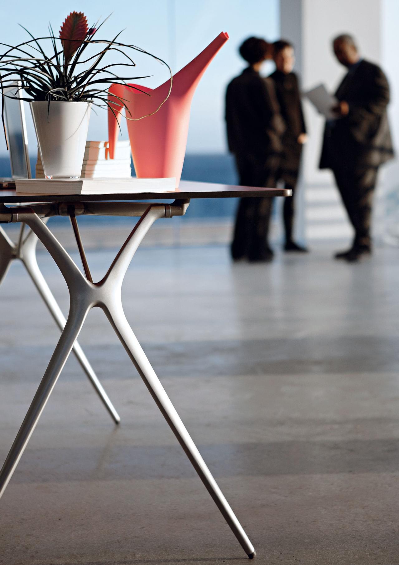 Kontrolní den ve firmě se záběrem na rostlinku