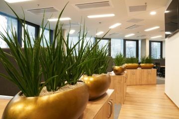 Rest area with a comfortable leather seat and wallpaper reflecting the same motifs as furniture