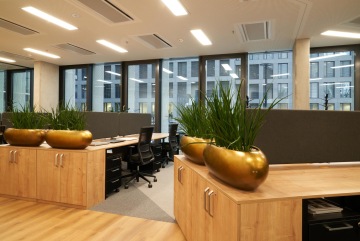 The golden flower pots delivered by our partner Flower Service bring a touch of luxury to CBBC's office space