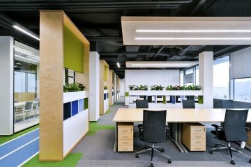 Openspace kanceláře s dělení v podobně úložných prostorů v kombinaci s oživujícími prvky ve formě rostlin.