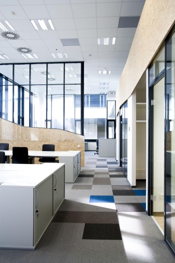 Prosvětlené kancelářské prostory oddělené navzájem atypicky tvarovanými OSB deskami v kombinaci s popisovatelnými skly, na zemi koberec se čtvercovým vzorem.