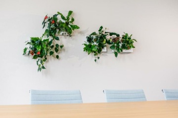 Květináče v kanceláři