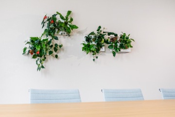 Květináče v kanceláři