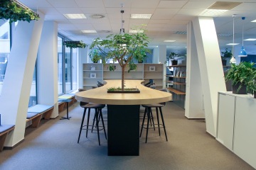 Stůl se zabudovaným stromem