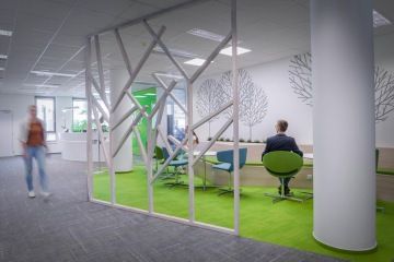 tapeta-na-zeď-stromy-PGRLF-CAPEXUS-kanceláře