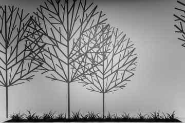 tapeta-na-zeď-stromy-PGRLF-CAPEXUS-kanceláře