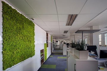 A look at the office openspace, mostly white, which is enlived by the moss squares on the walls and the carpet squares in purple and green.