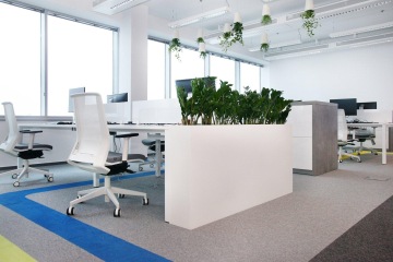 open-space-office-workplace-glass-office-layouts-zeleň-CAPEXUS-kanceláře-designové kanceláře-kanceláře CAPEXUS