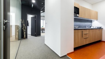 Working kitchen in wooden style and carpets in corporate colors of FINGO company