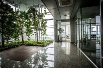 Fitout kanceláří se vyznačuje čistým designem, v prostoru jsou rostliny a prosklené stěny, které umožňují světlu vstoupit do místnosti.