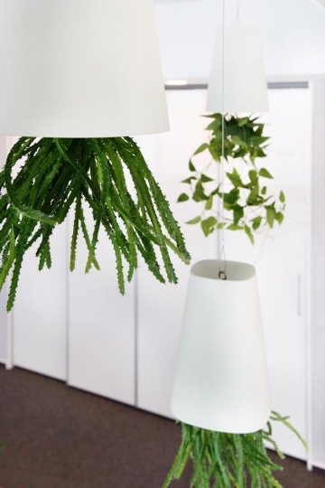 zeleň-rostliny-dekorace-vertikální-zahrady-zdravé-pracovní-prostředí-CAPEXUS-kanceláře-designové kanceláře-CAPEXUS-CAPEXUS-kanceláře