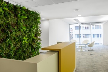 Green wall and reception