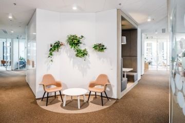 Meeting point with a modern interior with decoration of hanging flowers in the ČAP offices