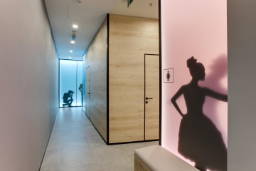 Wooden design of toilets with modern elements