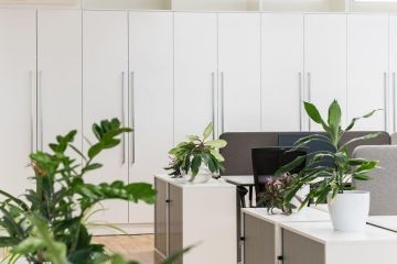 Open space office with flower decoration and built-in cabinets at GROHE