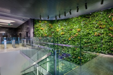 Velkoplošná zelená stěna s živými rostlinami u zábradlí