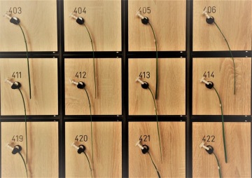 Lockable wooden lockers