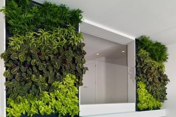 Prosklený výklenek vedle kterého jsou stěny z živých rostlin pro lepší kvalitu vzduchu