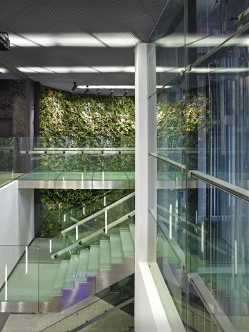 Vertical green wall in the corridor