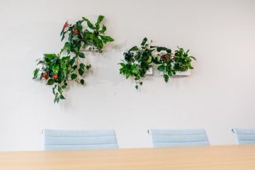 Standard-building-WELL-certification-office-ČAP-CAPEXUS-design-office-architecture