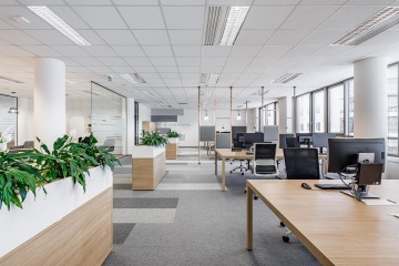 Open space s přírodními prvky dřeva a šedým kobercem ve firmě Centropol