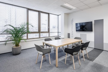 Zasedací místnost s šedým kobercem a živými rostlinami