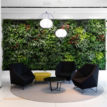 Lobby prostor s dominantní zelenou stěnou ve firmě CBC Development