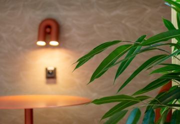 Detail of lights and flowers