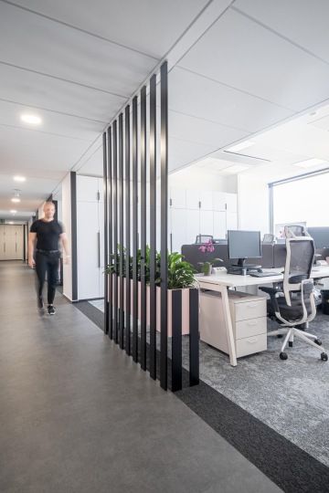 Partition separating the work area