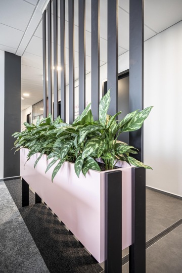 Závěsný květináč na chodbě