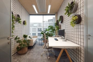 Industrial office with natural elements
