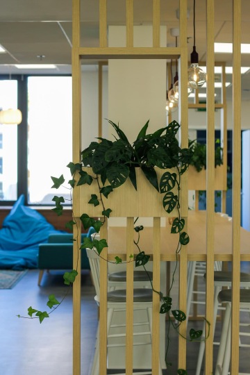 dřevěné lamely s rostlinami