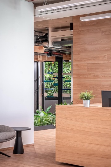 Záběr na recepční pult v dřevěném provedení s rostlinnými prvky