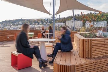 terrace with wooden elements and plants
