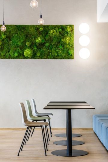 Plants on the cafeteria walls bring the space to life. The greenery is looked after by Flower Service