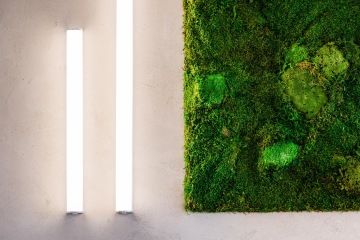 Shot of a mossy image and LED lights