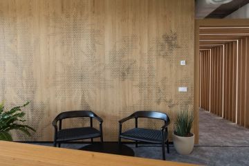 Prostor pro krátké setkání s dvěma židlemi a palmou na dřevěné stěně