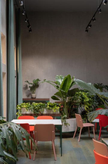 pokojové rostliny v designové kavárně Longevity